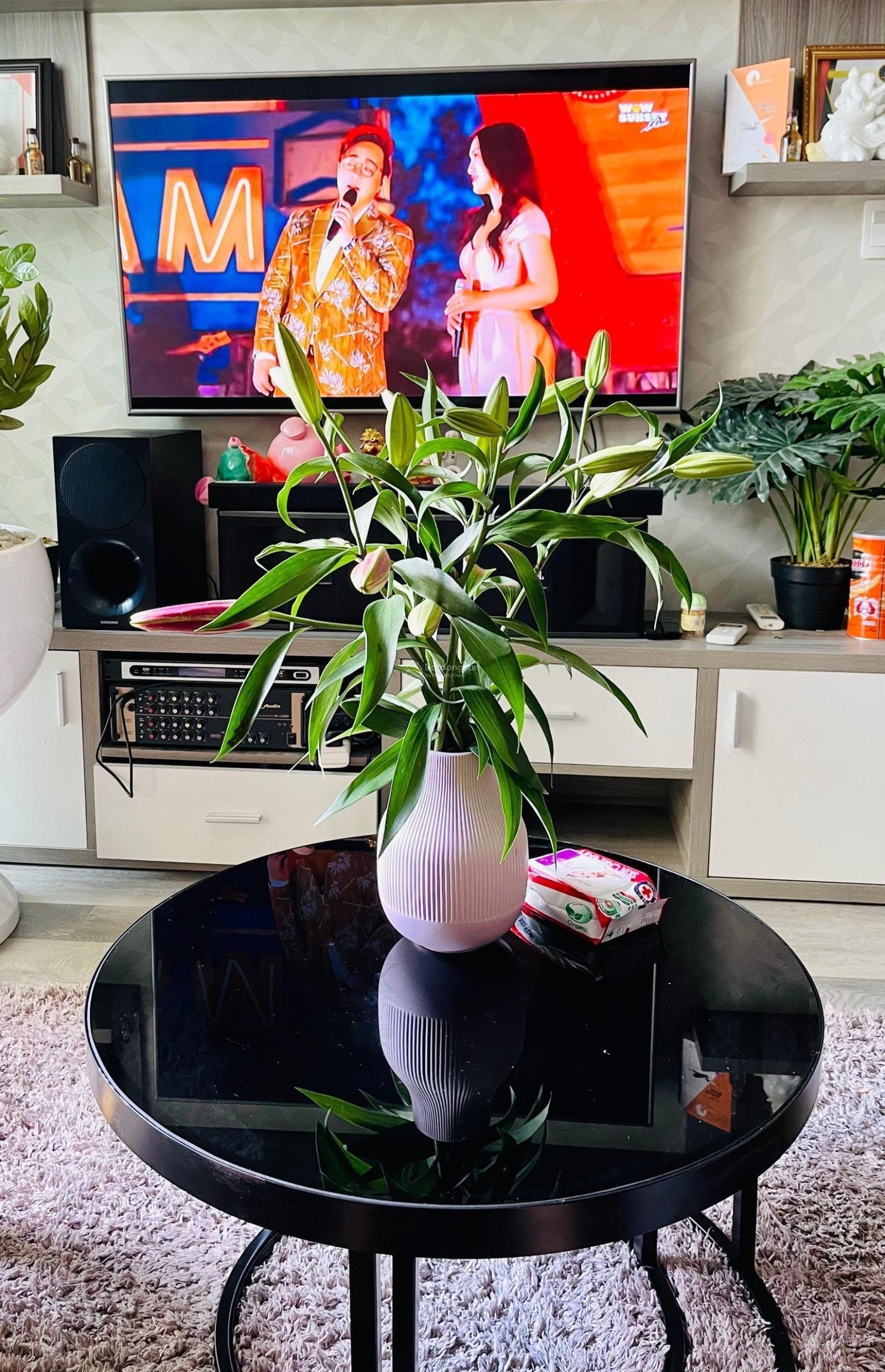 Cần cho thuê căn hộ 3PN Full nội thất chung cư Tara Residence chỉ cần xách vali vào ở ngay !