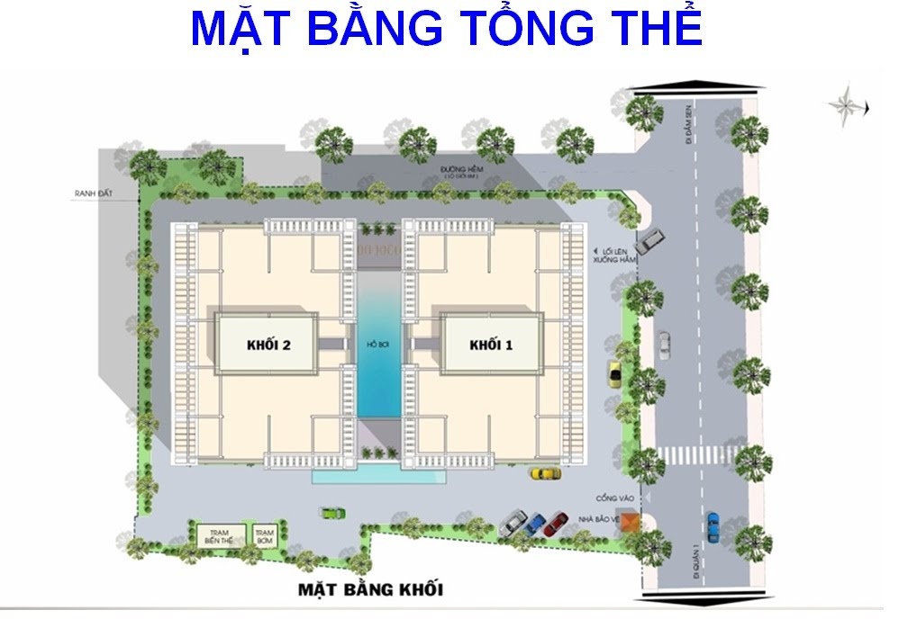 ảnh