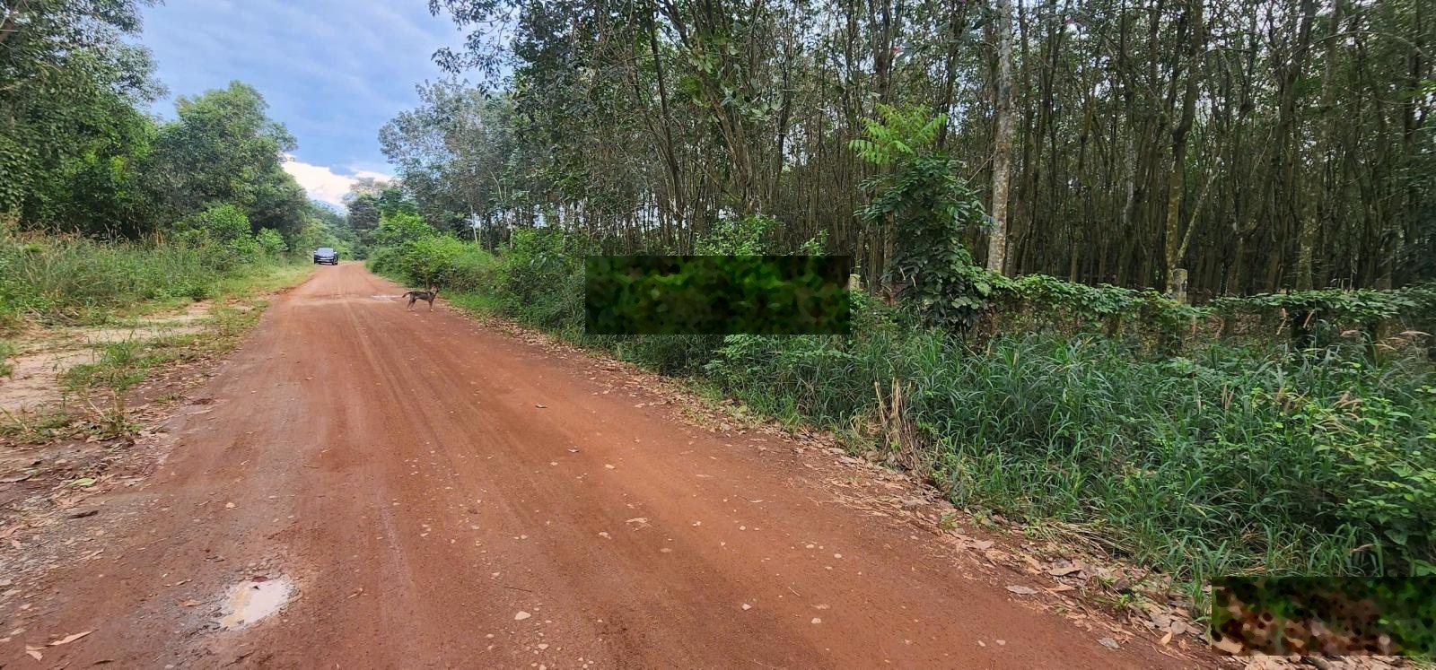 Siêu phẩm đầu tư-hơn 2,1 hecta đất mặt tiền Lai Hưng 113 sát cạnh trục huyết mạch Mỹ Phước Tân Vạn