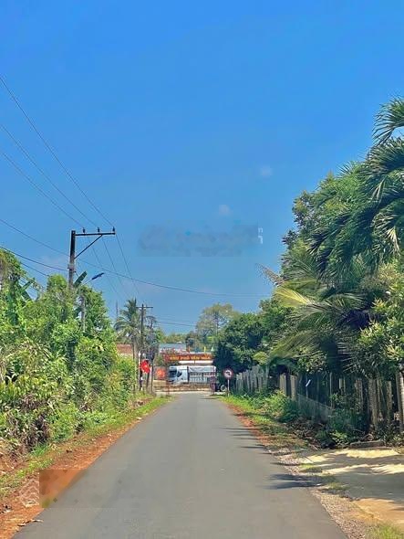 Có anh khách từng nói với tôi: Giờ ai dám đầu tư, giữ tiền cho chắc em ơi Cho tới ngày anh xuống