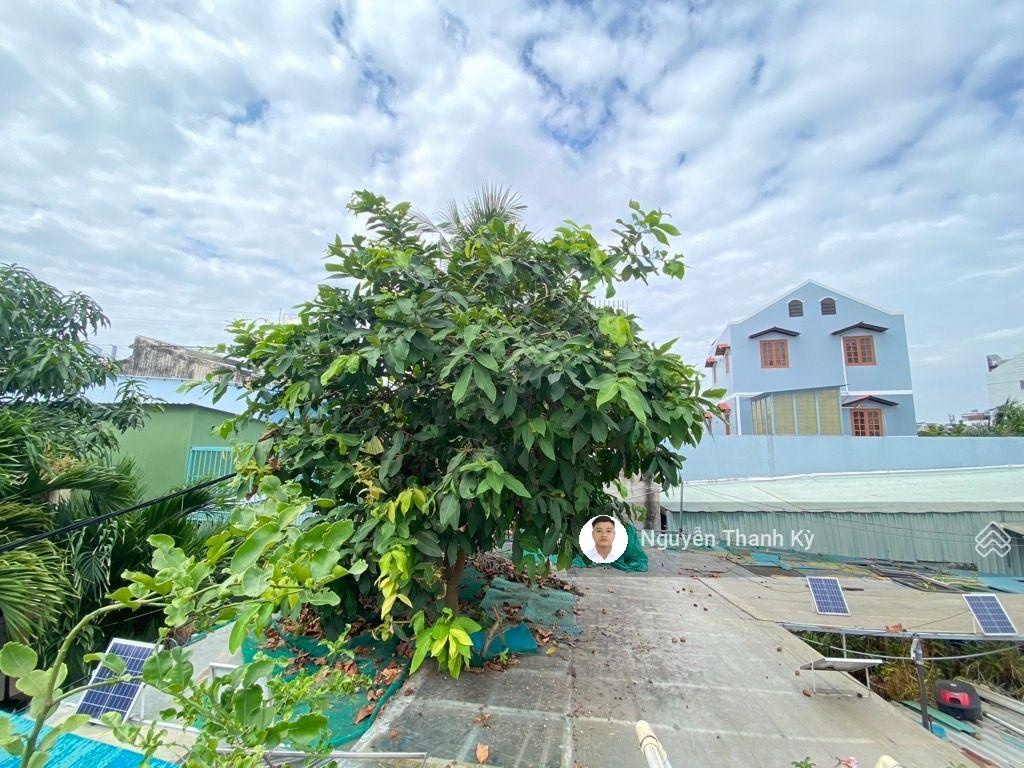 ảnh