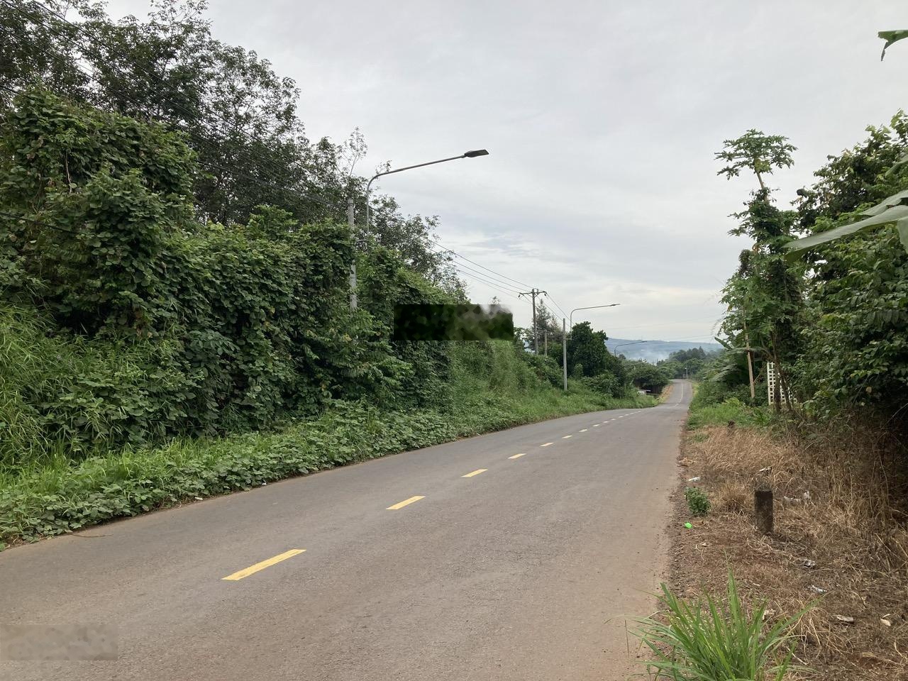 Vườn sầu riêng thái view đồi giá tốt. 8,3 tỷ sở hữu 5055 m2 đã phủ hồng