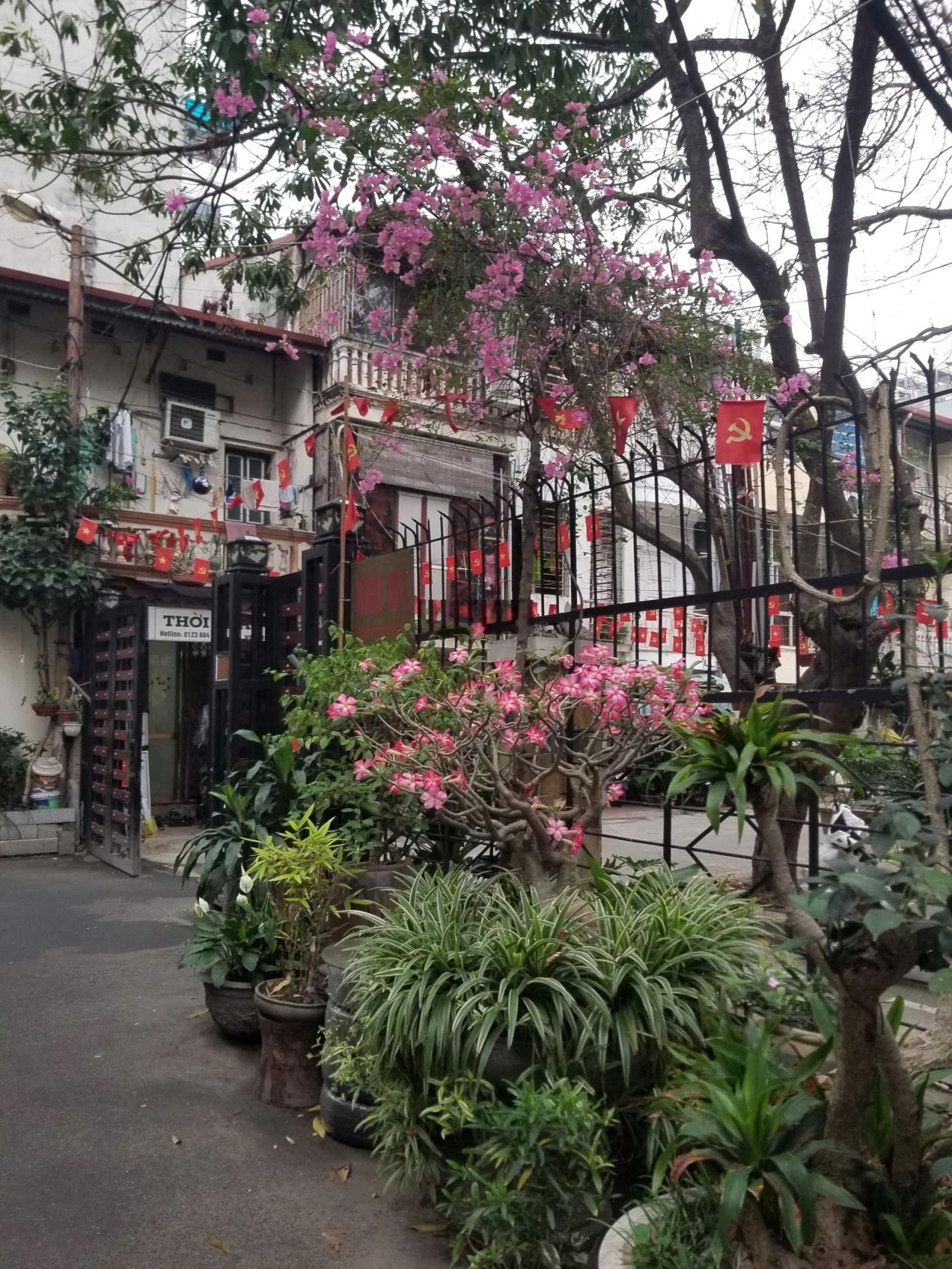 Nhà liền kề, khu ăn ninh tốt, dân trí thức, oto vào tận nhà. Nhà chính chủ. Khu trung ương