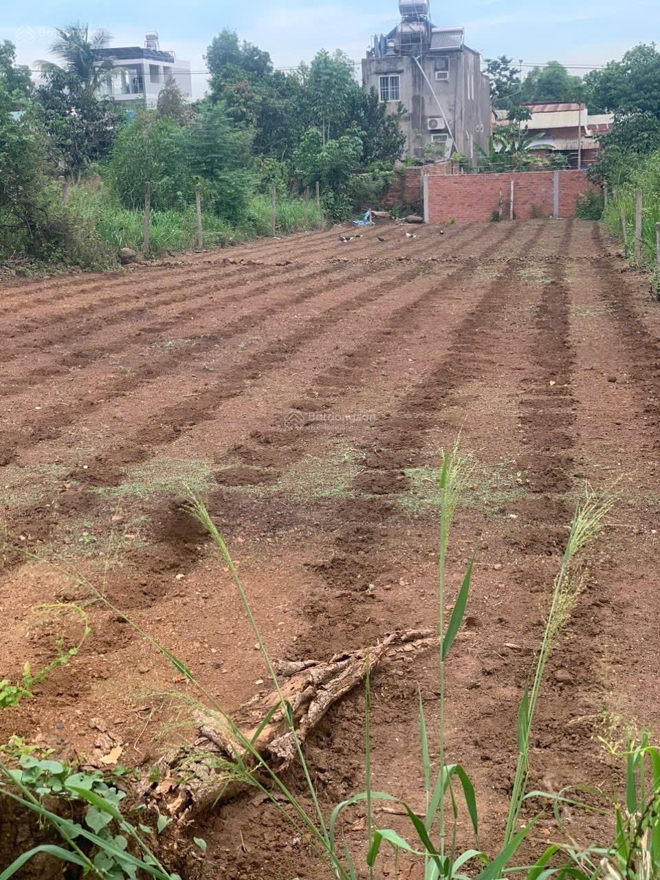 Cần bán đất đẹp Long Phước Long Thành