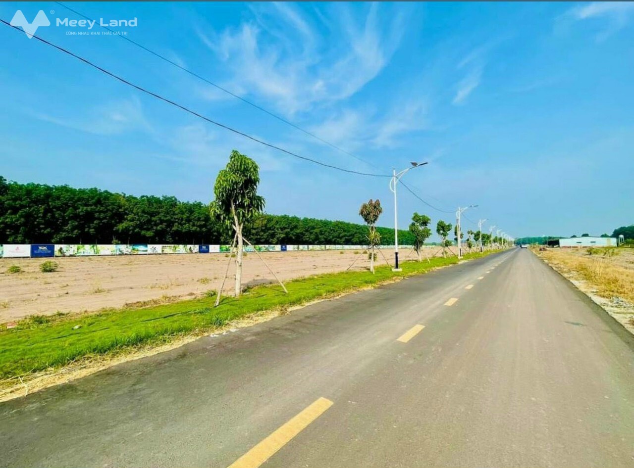 Đất ngay trung tâm Đồng Phú đường 32m giá 430 triệu bao sổ