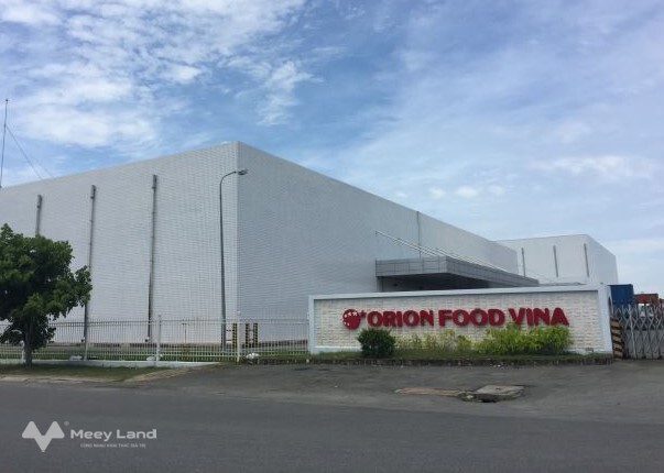 Kẹt tiền bán lô đất 1000m2 sổ hồng riêng, giá 339 triệu, sát dân, gần chợ, trường học