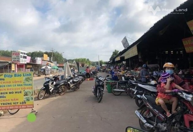 Kẹt tiền bán lô đất 1000m2 sổ hồng riêng, giá 339 triệu, sát dân, gần chợ, trường học