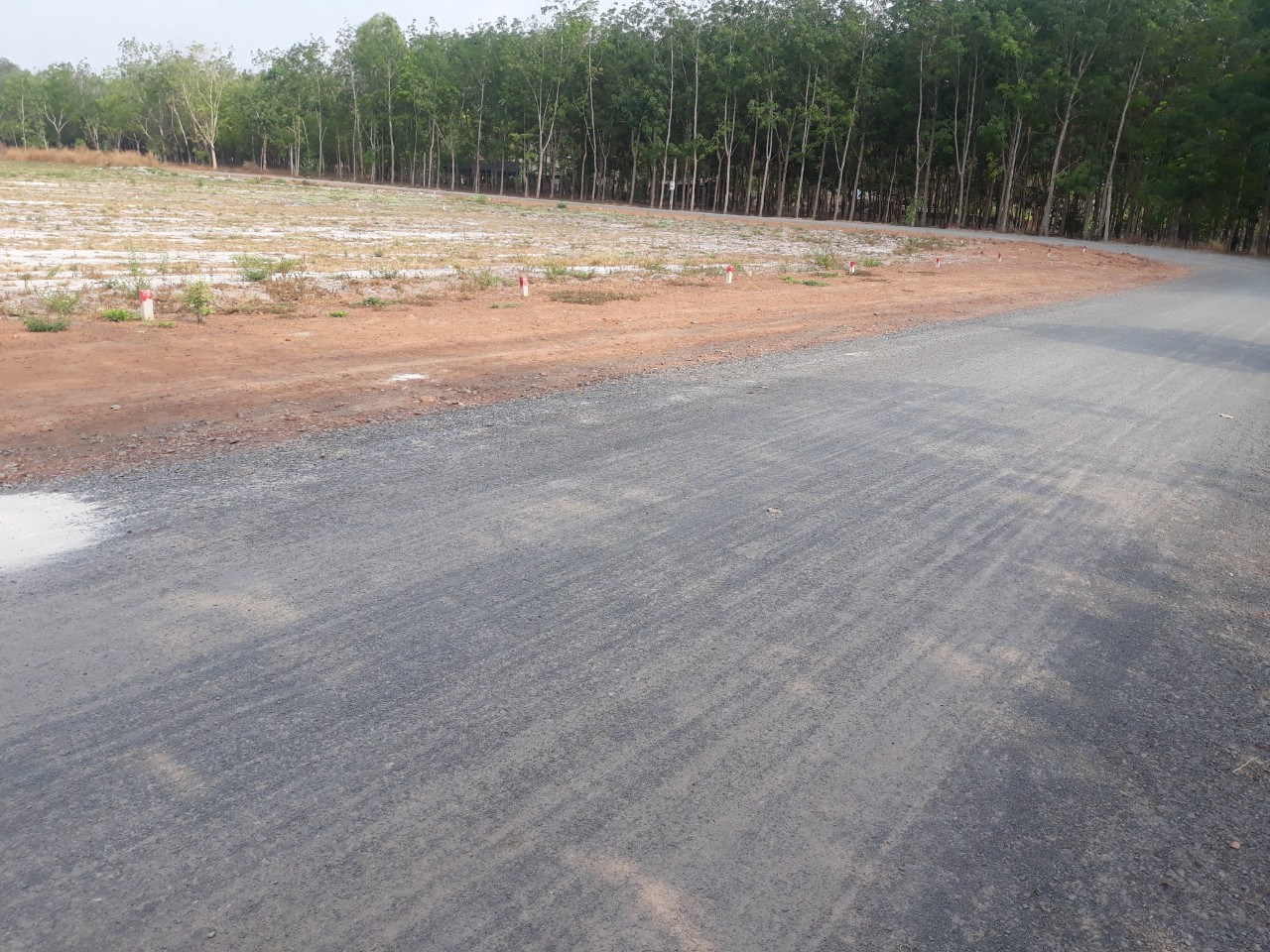 Sang lại 157m2 đất thổ cư sổ hồng riêng ngay chợ Thanh Lương, Bình Long dân đông giá 180 triệu