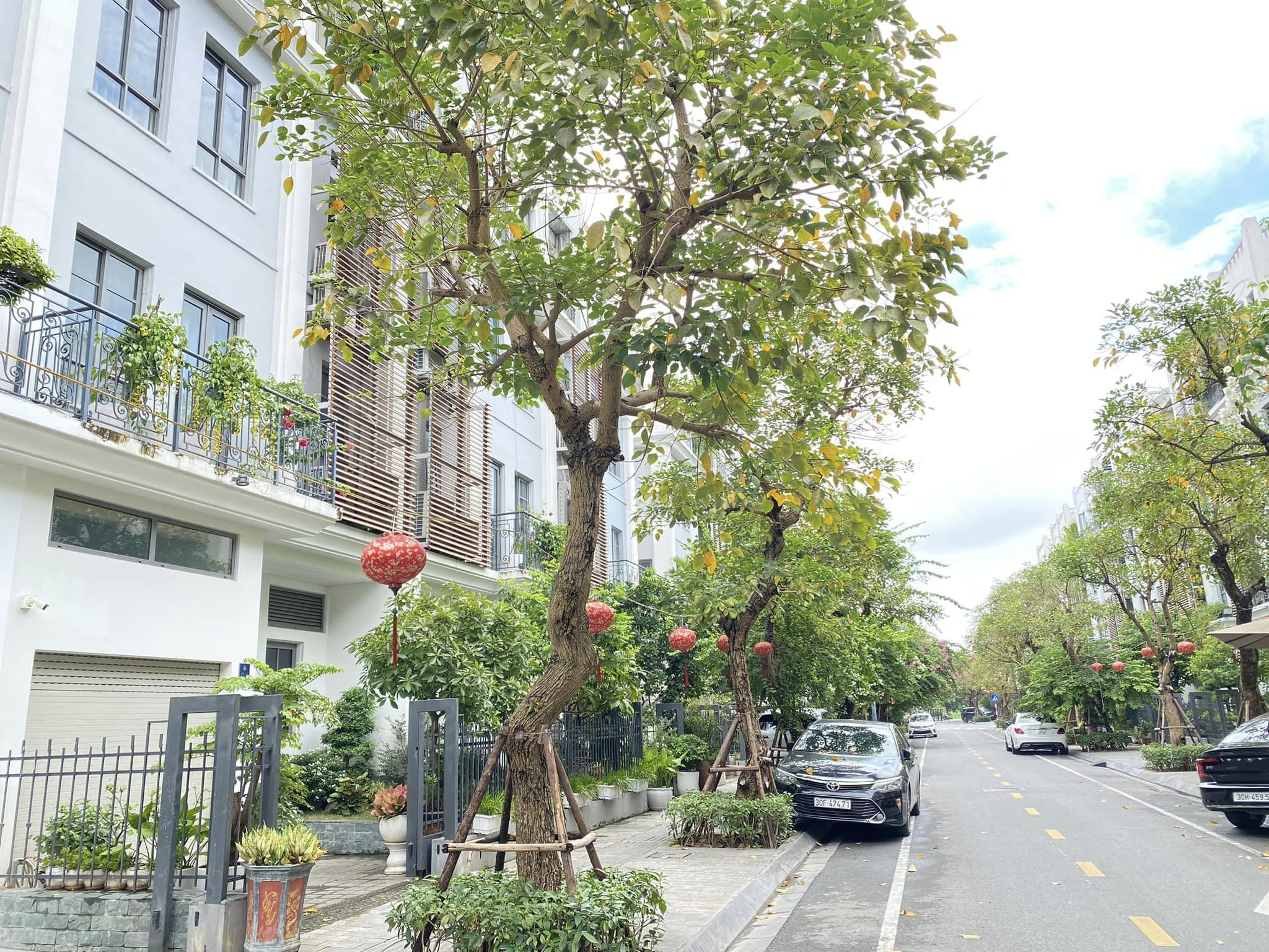 The Manor Central Park Nguyễn Xiển, hoàn thiện đẹp, 5 tầng, thang máy, giá cực tốt