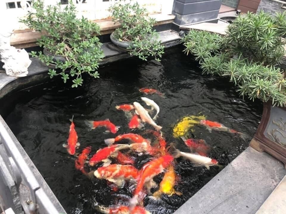 Biệt thự Việt Hưng, Long Biên, full nội thất xịn sò, hàng xóm Vinhomes Riverside