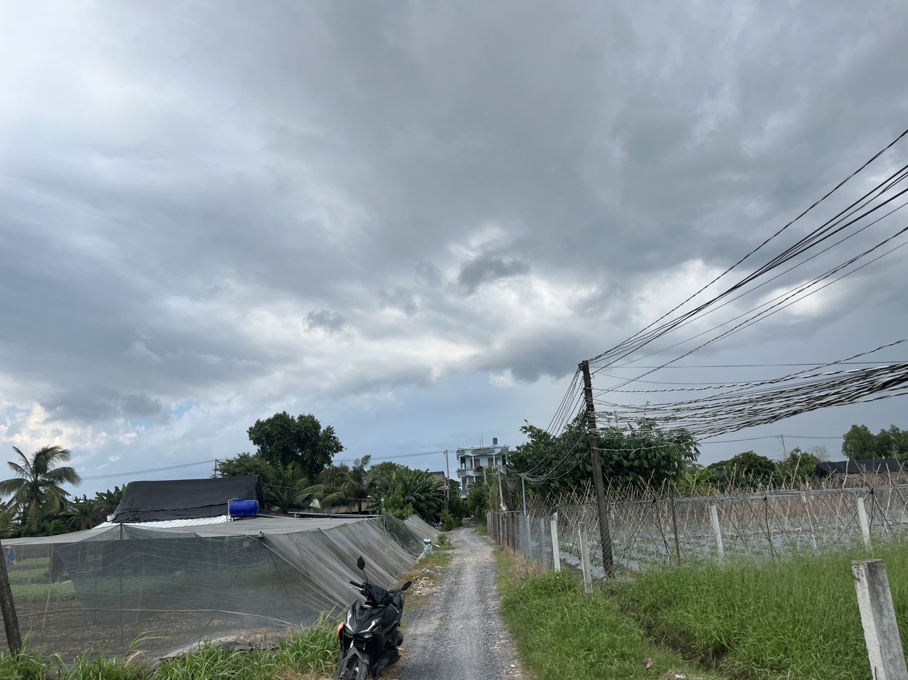 Bán lô đất 3000m2 - giá chỉ 10 tỷ 300 triệu - Xuân Thới Thượng - Hóc Môn - gọi cho em xem đát