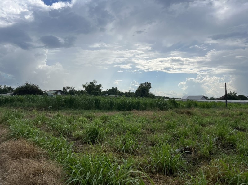 Bán lô đất 3000m2 - giá chỉ 10 tỷ 300 triệu - Xuân Thới Thượng - Hóc Môn - gọi cho em xem đát