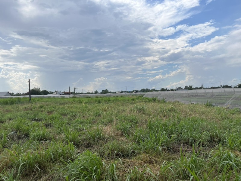 Bán lô đất 3000m2 - giá chỉ 10 tỷ 300 triệu - Xuân Thới Thượng - Hóc Môn - gọi cho em xem đát