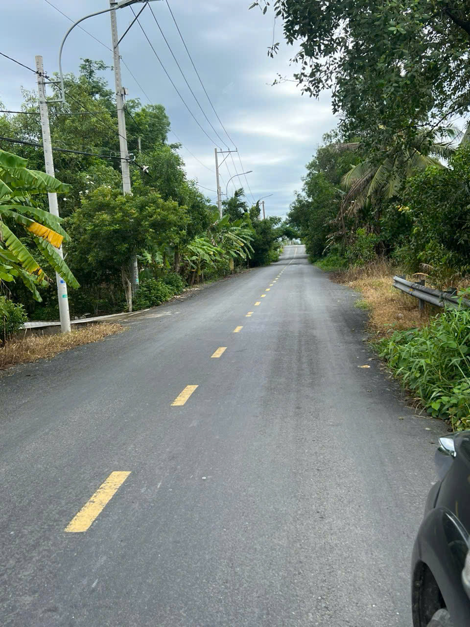 Bán đất đường Trương Văn Đa, Bình Lợi, Bình Chánh