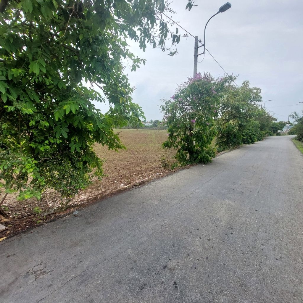 Bán đất góc 2 mặt tiền Phạm Tấn Mười - Quy Đức - Bình Chánh