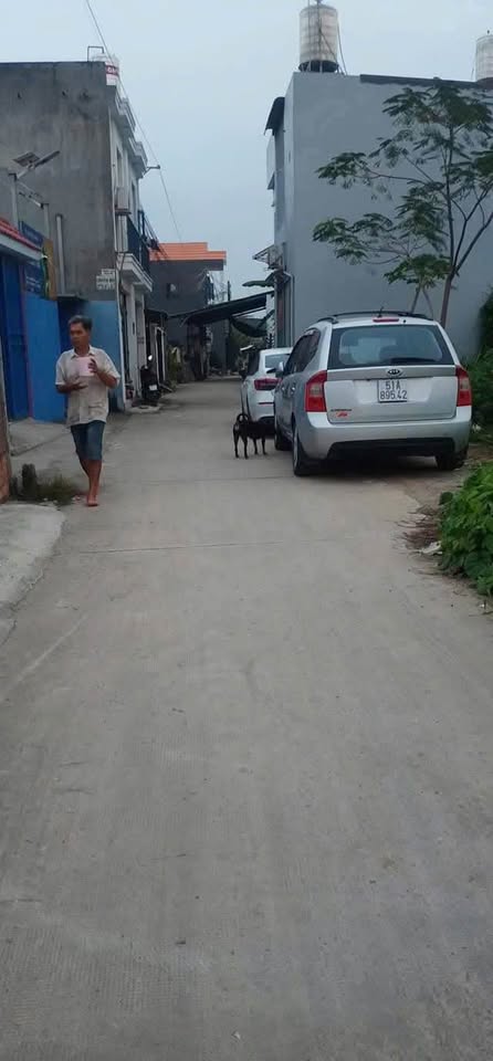 Kẹt tiền bán gấp 115m2 - gần chợ Mỹ Hạnh Nam - tỉnh lộ 824 - Đức Hòa - Long An