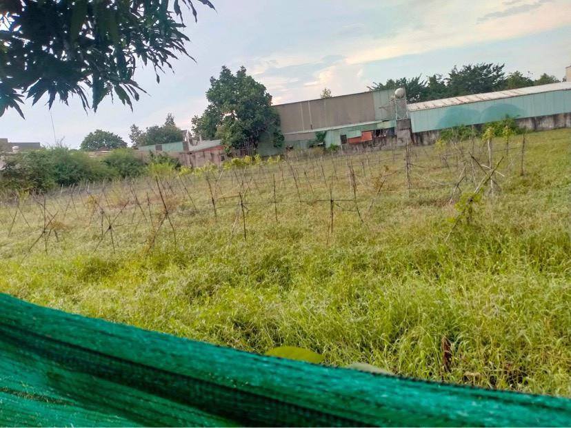 Bán đất vườn 2227m2 - giá chỉ 5 triệu/m2 - Xuân Thới Thượng - Hóc Môn