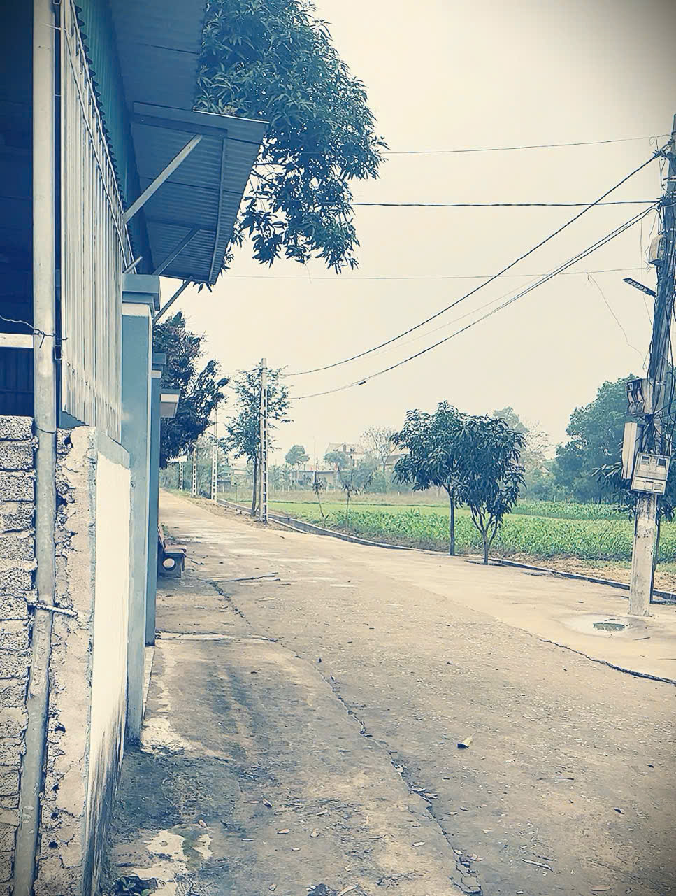 Đất Nghi Phong 192m2 ngõ đường 24m full thổ cư giá cực êm, đường lớn thông thoáng giá yêu thương cho cặp đôi