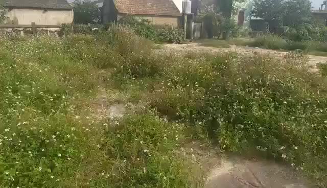 Cần bán lô đất biệt thự tại xã Đồng Trạch, huyện Bố Trạch, Quảng Bình, diện tích 275m2