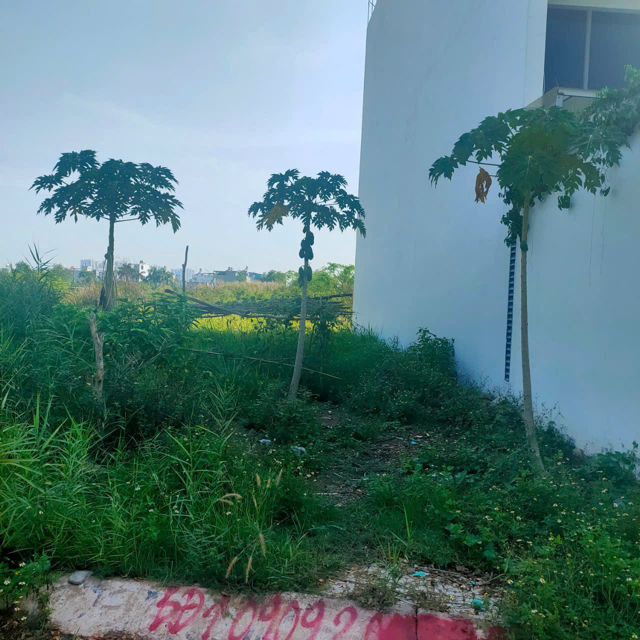 Lô đất Tăng Long GarDen, Trường Thạnh, 90m2, giá tốt