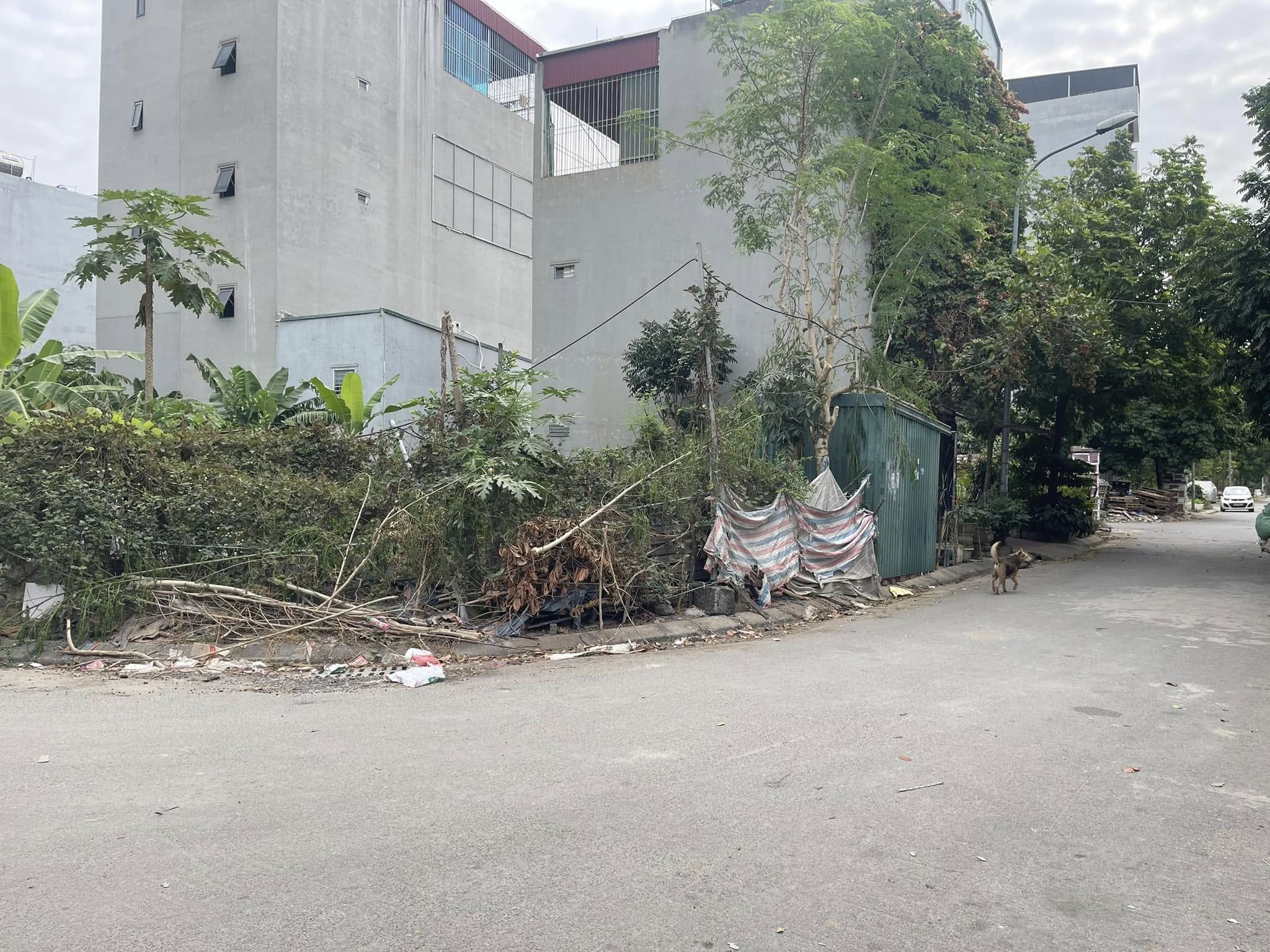 Bán đất dịch vụ Đồng Đế, Dương Nội, sổ đỏ chính chủ, giá tốt