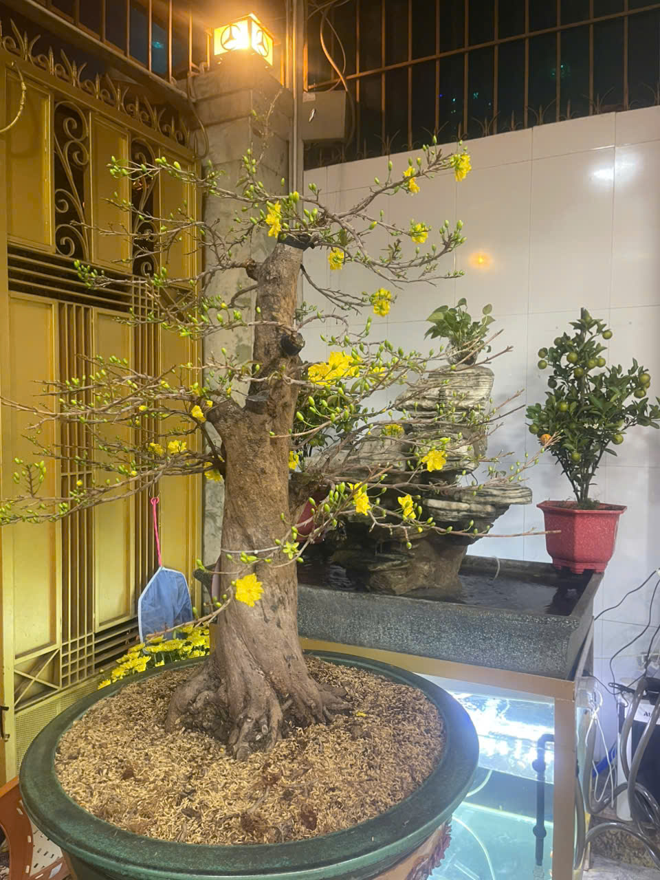 Nhà phố xinh rẻ 5m x 14m, 1 trệt 3 lầu Tạ Quang Bửu, Quận 8, thành phố Hồ Chí Minh