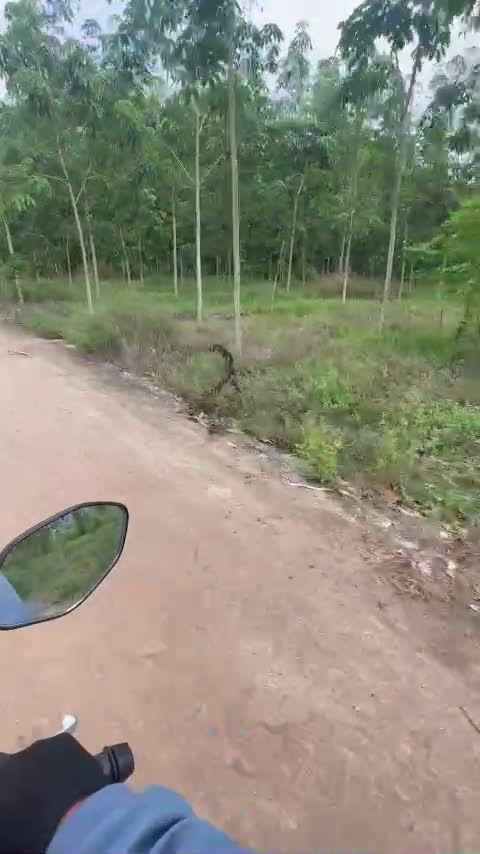 Bán đất khu vực An Bình - Phú Giáo