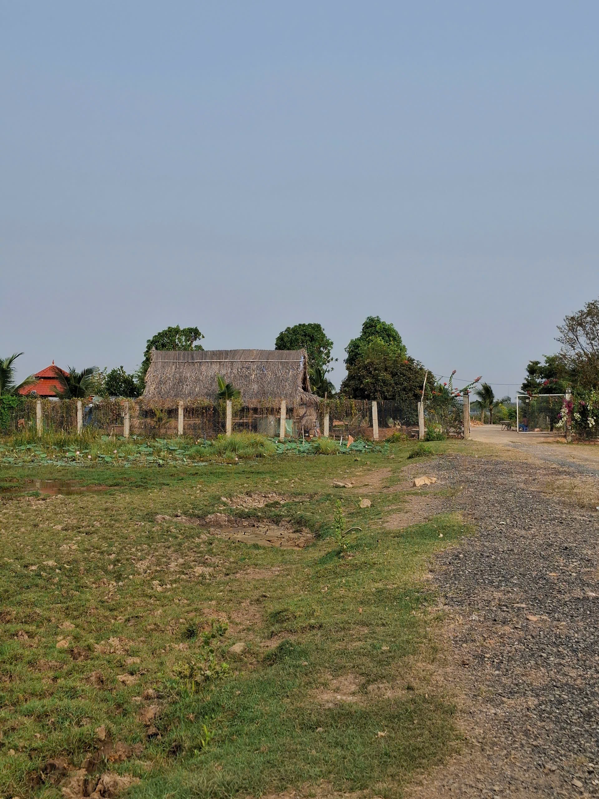 Bán đất view Rạch gần sông, Long Phước, quận 9, giá 64,5 tỷ