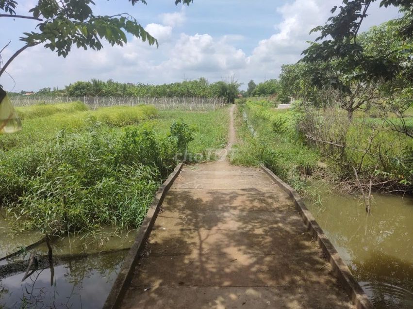 Cần bán đất sổ đỏ 2400 m2 huyện Bình Chánh, Hồ Chí Minh