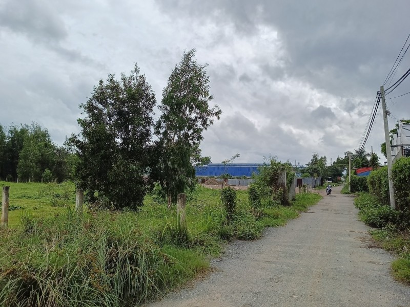 Bán lô đất vườn 1032m2 - Vĩnh Lộc B - Bình Chánh - giá đầu tư - gọi cho em xem đất