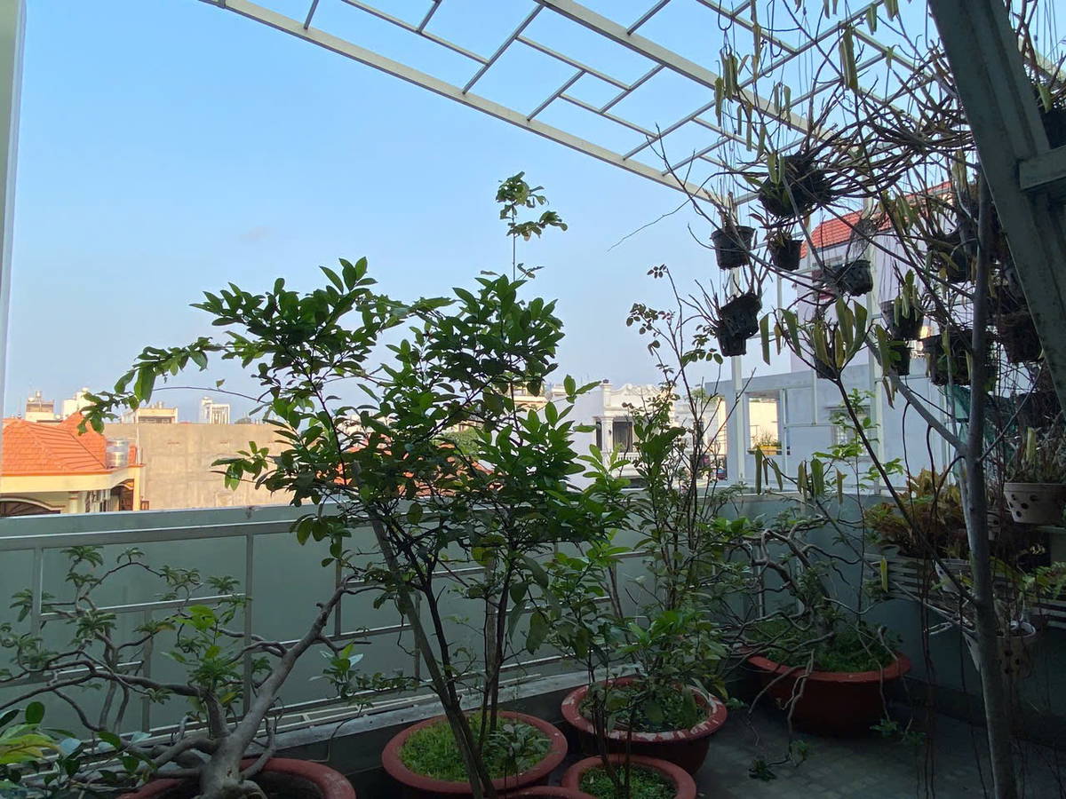 Cực hiếmnNhà 65m², 3 phòng ngủ – hẻm xe hơi đậu cửa – Tân Phú – sát chợ Tân Hương – giá tốt 7,6 tỷ