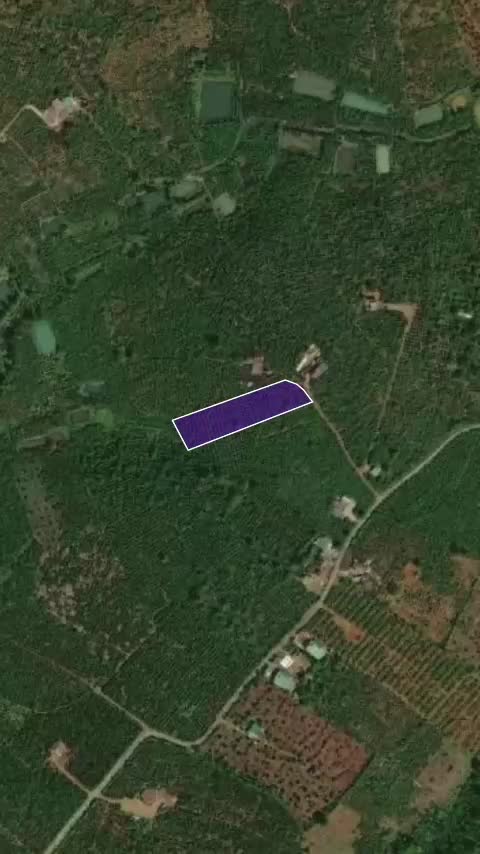 Chính chủ bán lô đất đẹp hơn 2500m2 tại Di Linh, Lâm Đồng, pháp lý chuẩn giá cực tốt