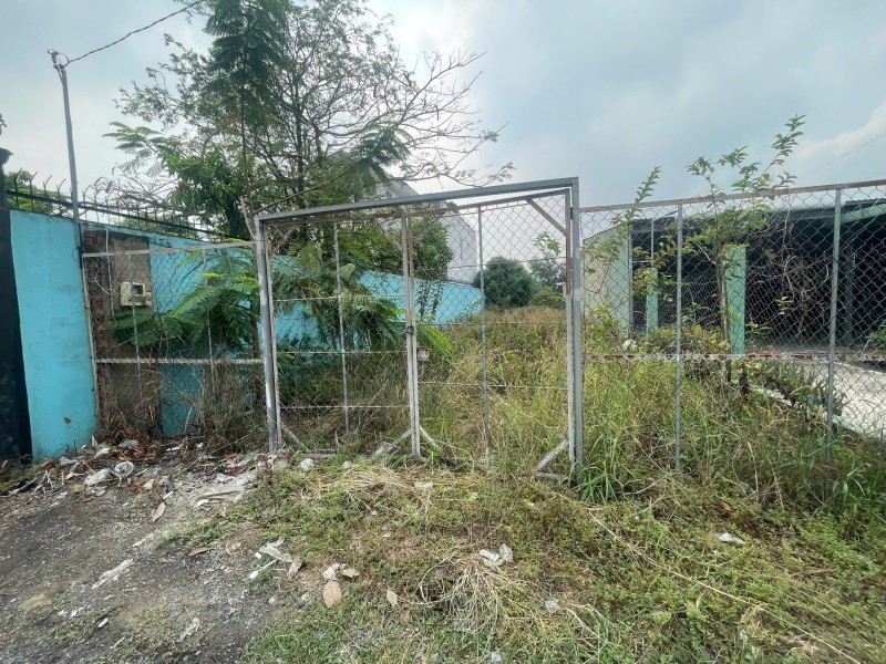 Bán lô đất mặt tiền 592m2 - giá 9 tỷ 500 triệu, Thanh Niên - Tân Thới Nhì - Hóc Môn