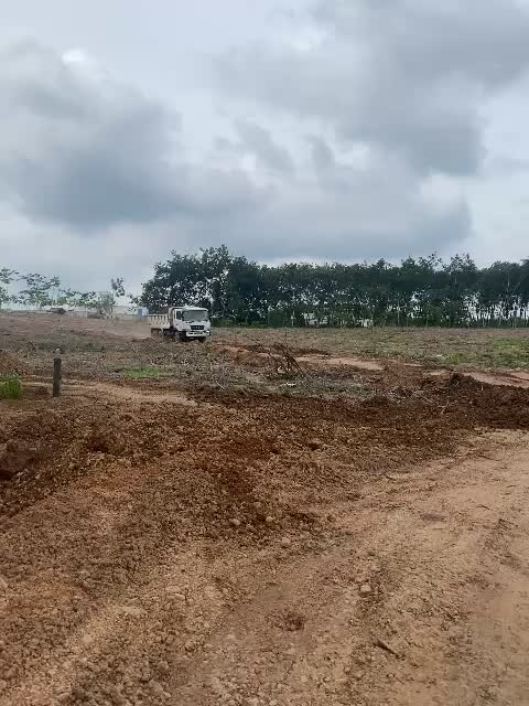 Cho thuê đất trống tiện SXKD chế biến gỗ, nông công nghiệp xả thải tại Xã An Long, Thành phố HCM