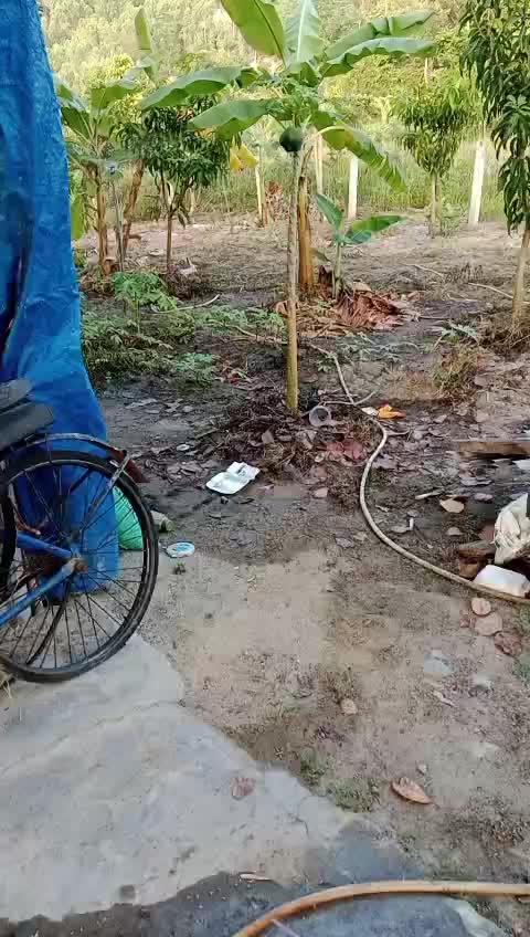 Bán đất rừng sản xuất Nha Trang, Khánh Hòa
