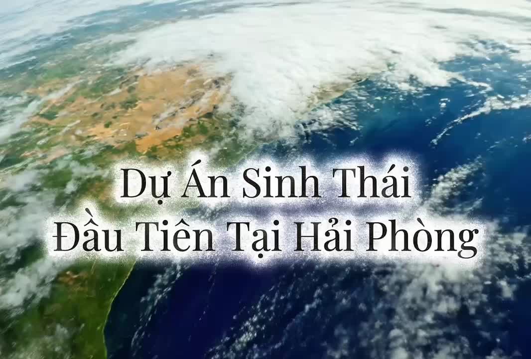 Mở bán trung tầng Ecorivers - Ecopark Hải Dương gồm 5 tòa 10 tầng cao cấp giá cực tốt để đầu tư hoăc cho thuê dài hạn