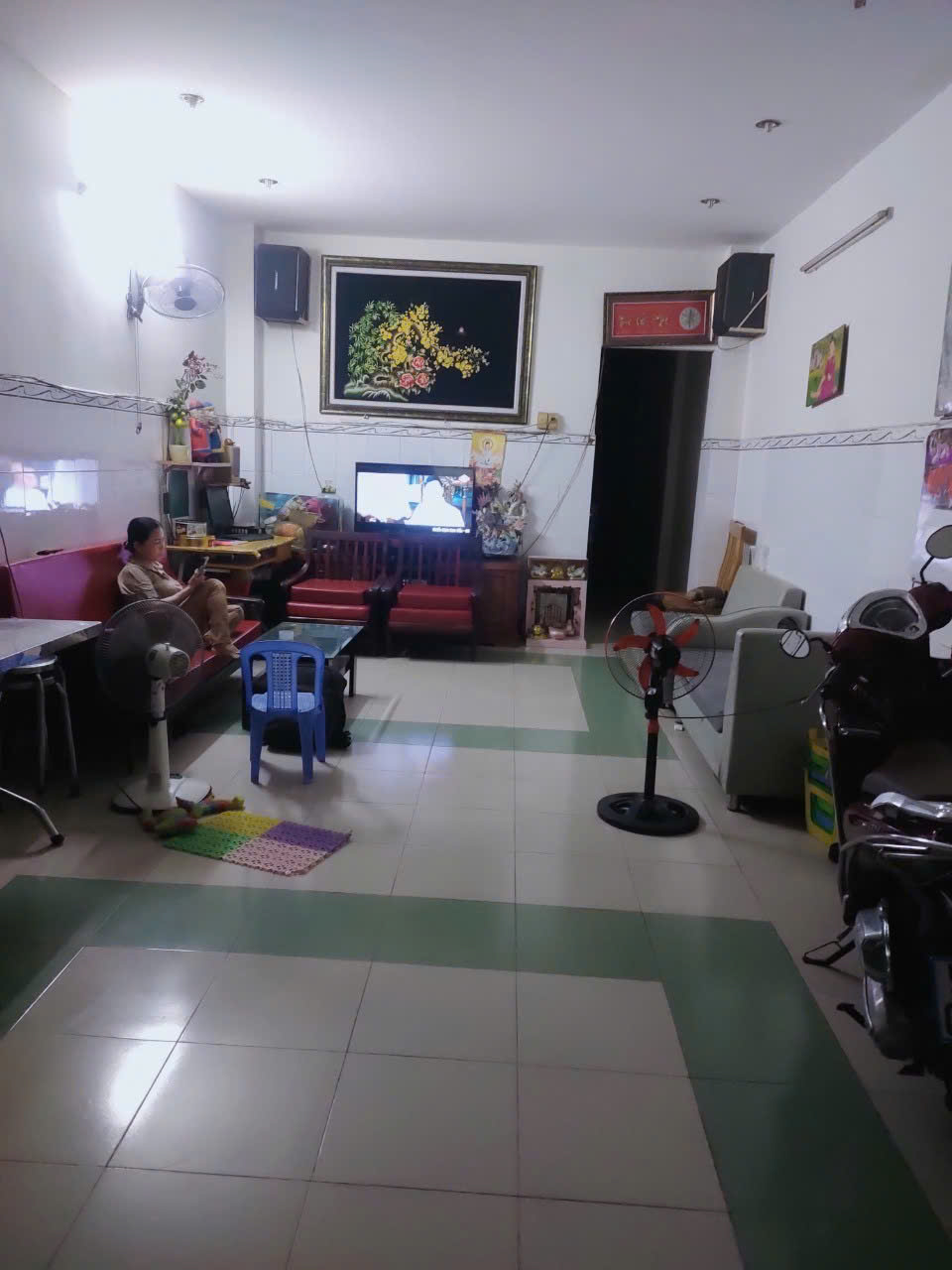 Cần bán nhà mặt tiền đường Trinh Hoài Đức diện tích 90m2, cấp 4