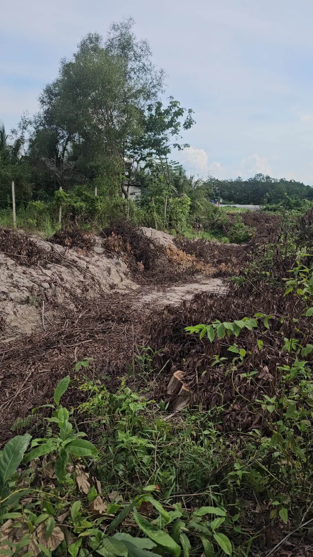 Cần bán lô đất tại Phú Chánh thành phố Tân Uyên, Bình Dương