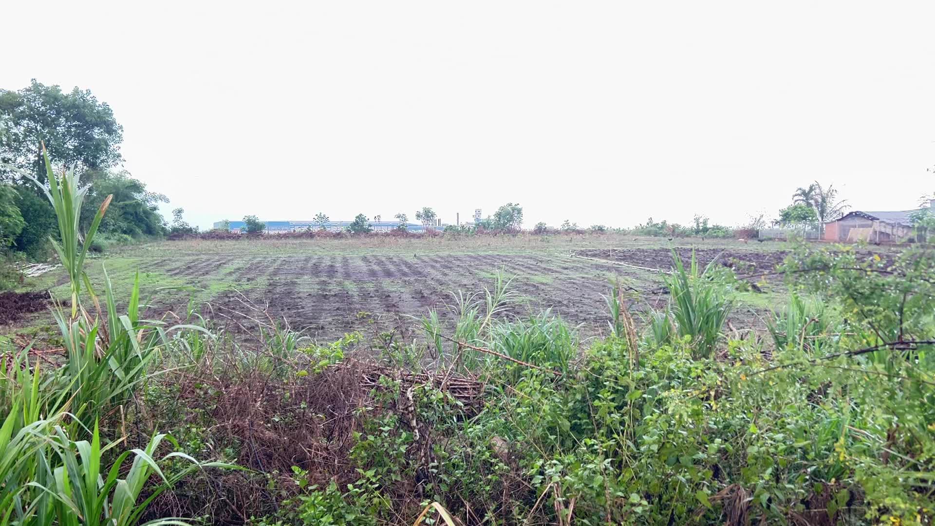 Đất mặt tiền đường Phạm Hùng – sát khu công nghiệp đất đỏ thành phố Hồ Chí Minh – giá chỉ 1 tỷ
