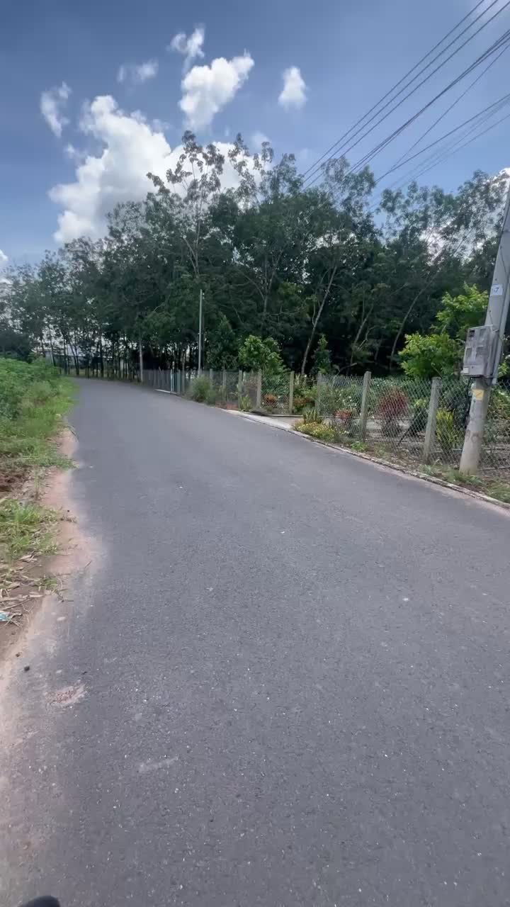 Bán đất mặt tiền đường DH507, ngay kế bên chợ An Linh, giá chỉ 480 triệu, 300m2