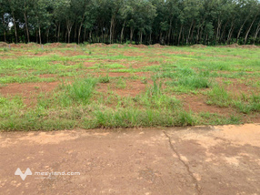 Đất nền Long Hà, 5m x 55m, đường bê tông 8m, giá rẻ bất ngờ