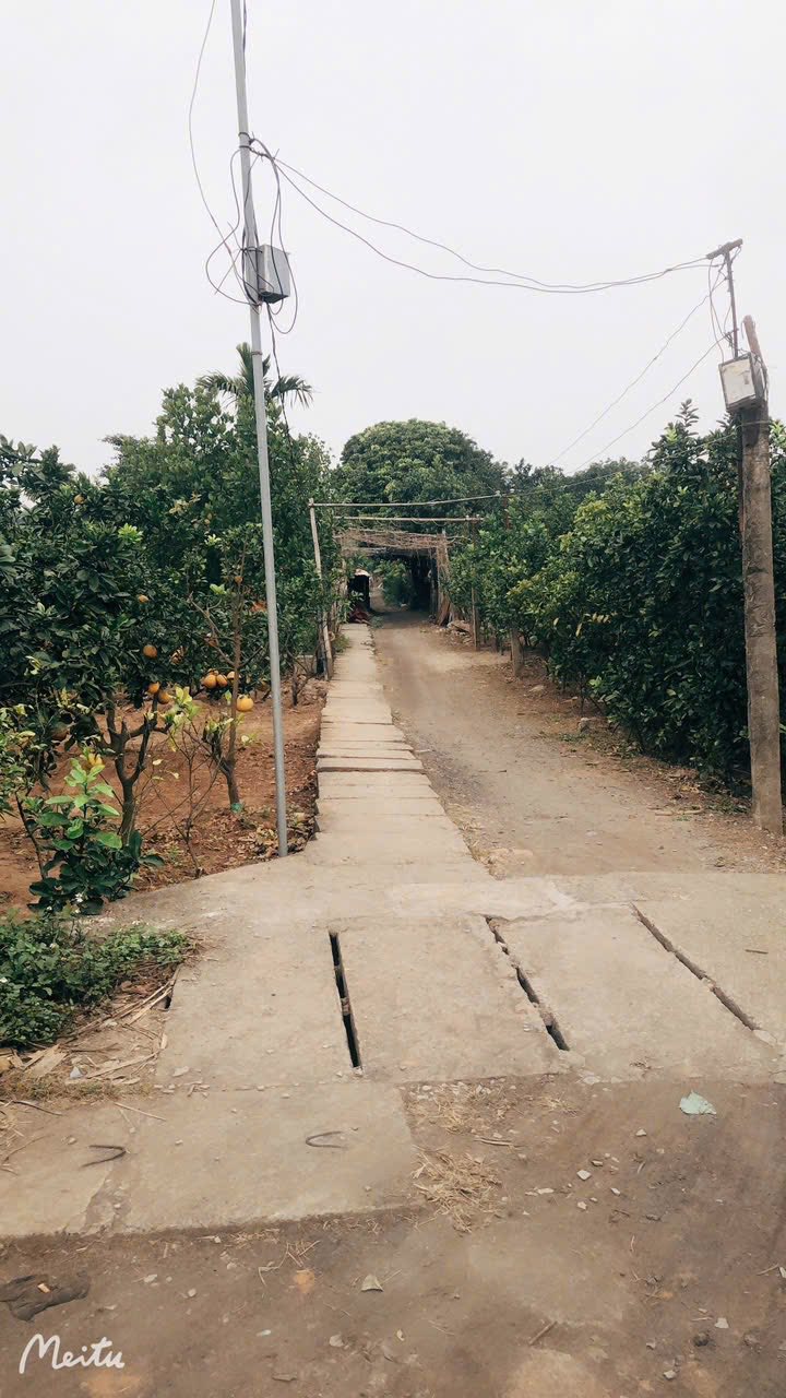 Bán đất Phúc Diễn, Bắc Từ Liêm giá chỉ bằng căn chung cư – 1450m2 giá 2,8 tỷ