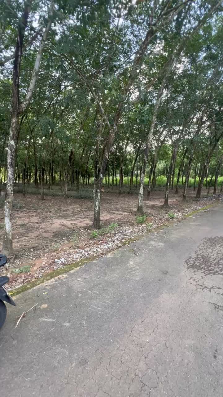 Bán đất tại Đường Bình Chuẩn 61, Bình Chuẩn, Thuận An, Bình Dương, 150m2, 1 tỷ