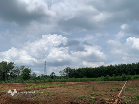 Khi hoàn thành, tuyến sẽ kết nối liên huyện từ Quốc lộ 14, Đồng Xoài