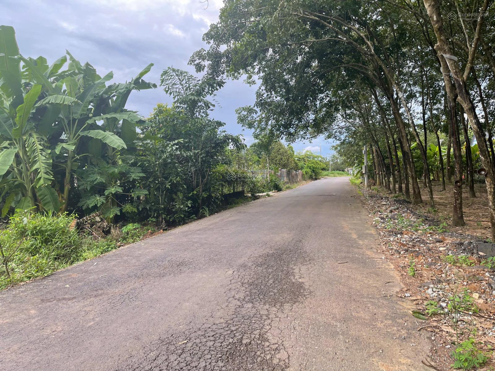 Chính chủ cần bán 200m2 mặt tiền đường nhựa sát DH507, đất Phước Thành, thành phố Hồ Chí Minh mới