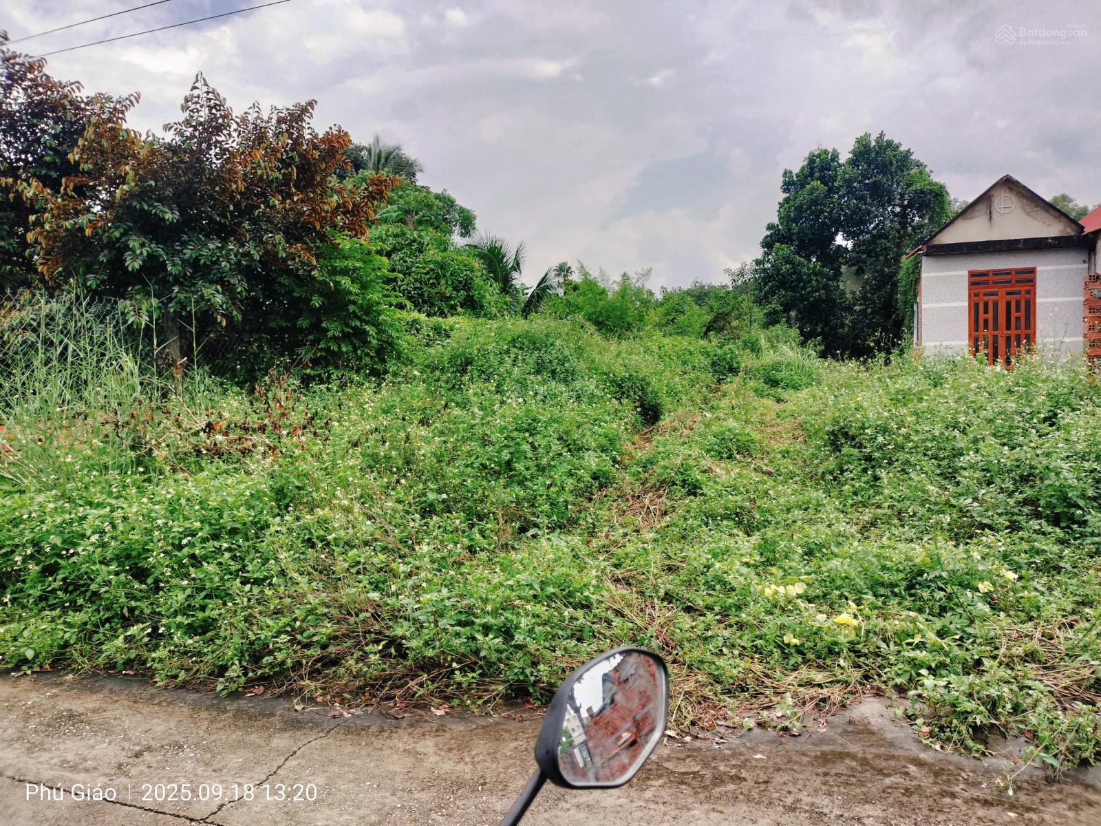 Chính chủ cần bán ra 300m2 có đất thuộc Hồ Chí Minh mới, cách DH 507 đúng 50m