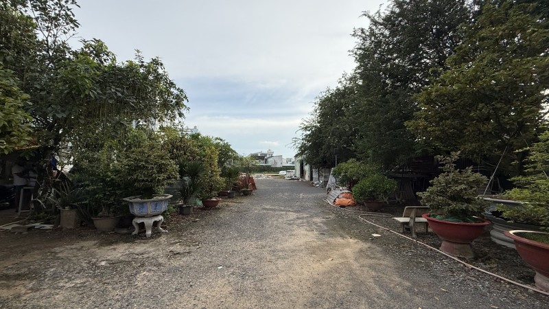 Bán kho xưởng 4000m2, Trần Văn Mười, Xuân Thới Đông, Hóc Môn, giá chỉ 15 triệu/m2