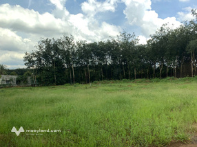 Đất chính chủ, sổ riêng, giao dịch an toàn 100%