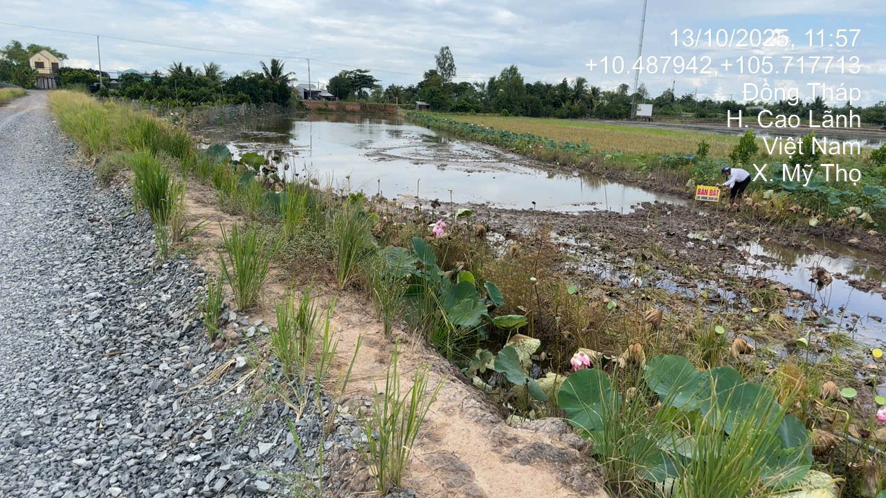 Chính chủ bán 03 nền đất tại xã Mỹ Thọ, huyện Cao Lãnh, tỉnh Đồng Tháp