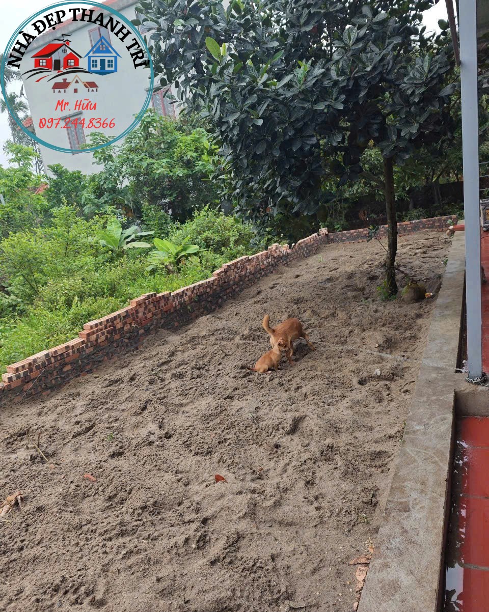 Chính chủ bán mảnh đất đẹp Tranh Khúc, Duyên Hà, Thanh Trì 51m², ô tô vào tận nhà, chỉ 2,65 tỷ